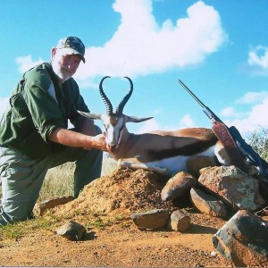 Common Springbuck