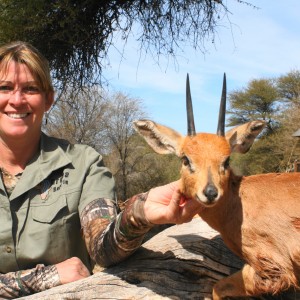 Steenbok Limcroma Safaris 2013