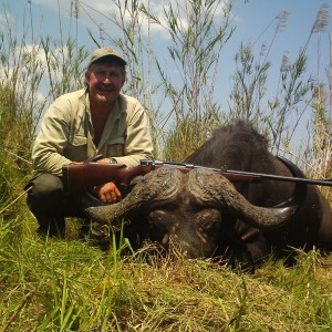 Buffalo Mozambique