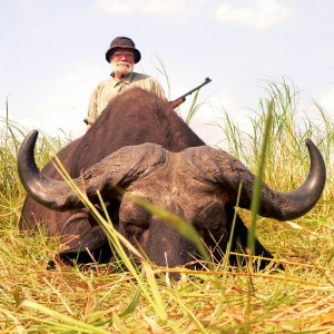 Buffalo Mozambique