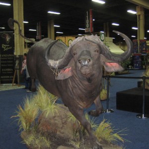 Taxidermy at Safari Club International Convention