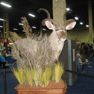 Taxidermy at Safari Club International Convention