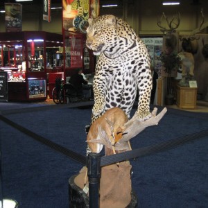 Taxidermy at Safari Club International Convention