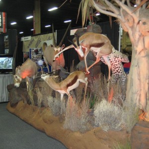 Taxidermy at Safari Club International Convention