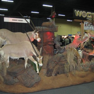 Taxidermy at Safari Club International Convention