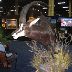 Taxidermy at Safari Club International Convention