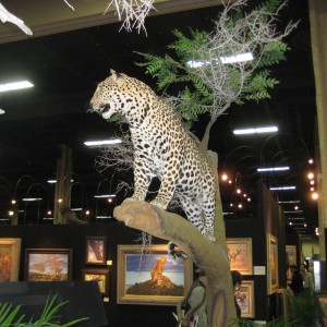 Taxidermy at Safari Club International Convention