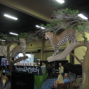 Taxidermy at Safari Club International Convention