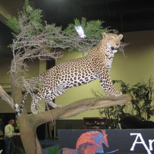 Taxidermy at Safari Club International Convention