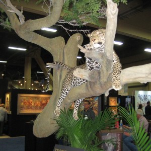 Taxidermy at Safari Club International Convention