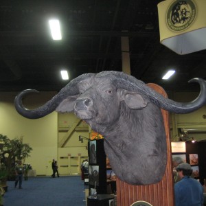 Taxidermy at Safari Club International Convention