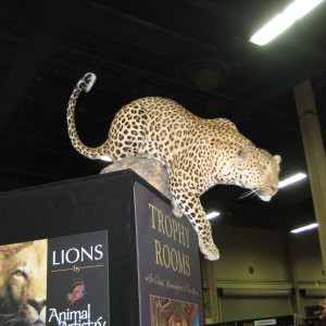 Taxidermy at Safari Club International Convention