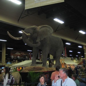 Taxidermy at Safari Club International Convention