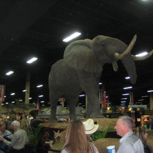 Taxidermy at Safari Club International Convention