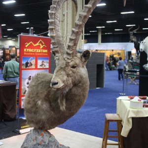 SCI Convention 2014 Taxidermy Mounts