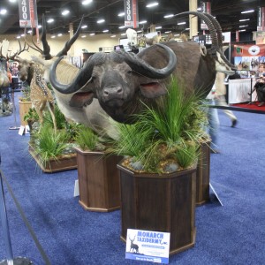 SCI Convention 2014 Taxidermy Mounts