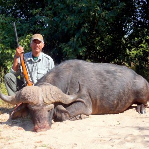 zimbabwe buffalo