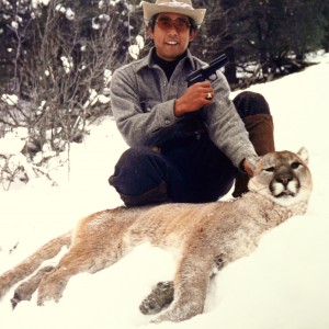 colorado mountain lion