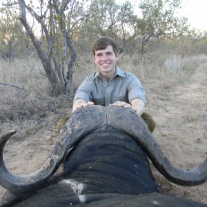 Greater Kruger Buffalo