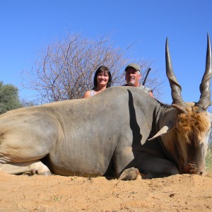 Cape Eland