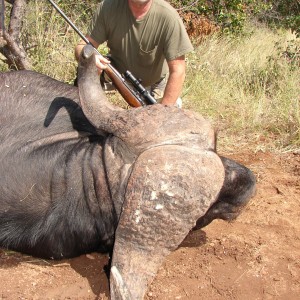 Greater Kruger Buffalo