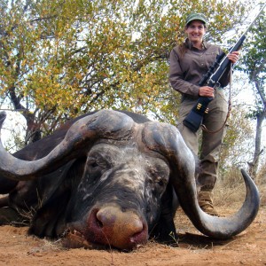 Greater Kruger Buffalo