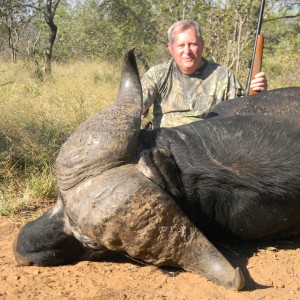 Greater Kruger Buffalo