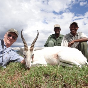 White Springbuck ~ East Cape, South Africa