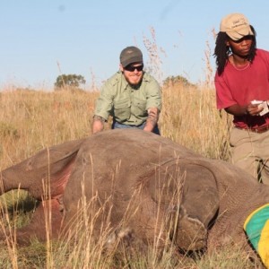 Tagging rhino