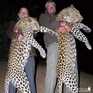 Leopard Hunt Namibia