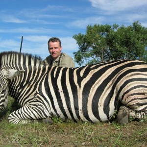 Burchells Zebra