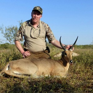 Common Reedbuck