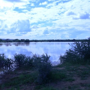 Namibia after a good rainy season...