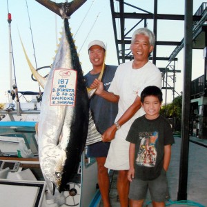 Yellow fin tuna