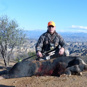 CA Pig