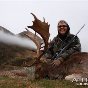 New Zealand Fallow Deer