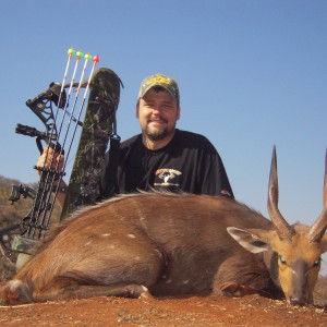 Bushbuck