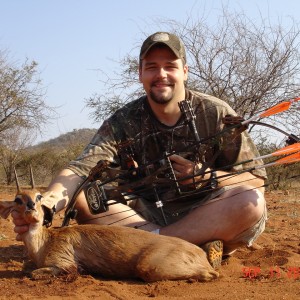 Steenbok