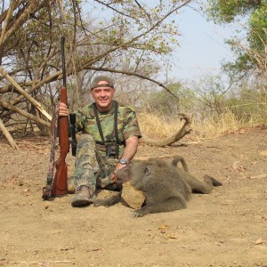 Olive Baboon Burkina Faso