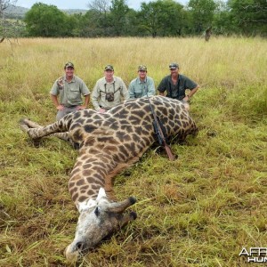 Giraffe with Kido Safaris