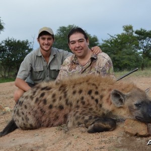 Hyena with Savanna Hunting Safari's