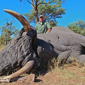 Elephant ~ Limpopo, South Africa