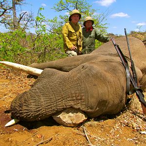 Elephant ~ Limpopo, South Africa