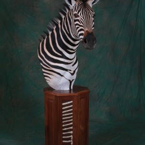 Zebra Pedestal Mount