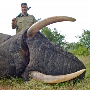 Elephant ~ Limpopo, South Africa 2014