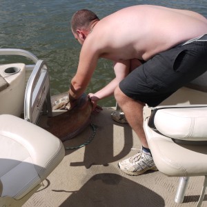 fishing on the zambezi