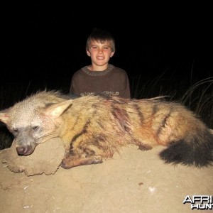 Umdende Hunting Safaris Aardwolf