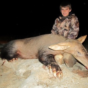 Umdende Hunting Safaris Aardvark