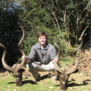 First and Second Kudu Bulls