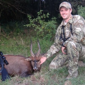 Eastern Cape Bushbuck